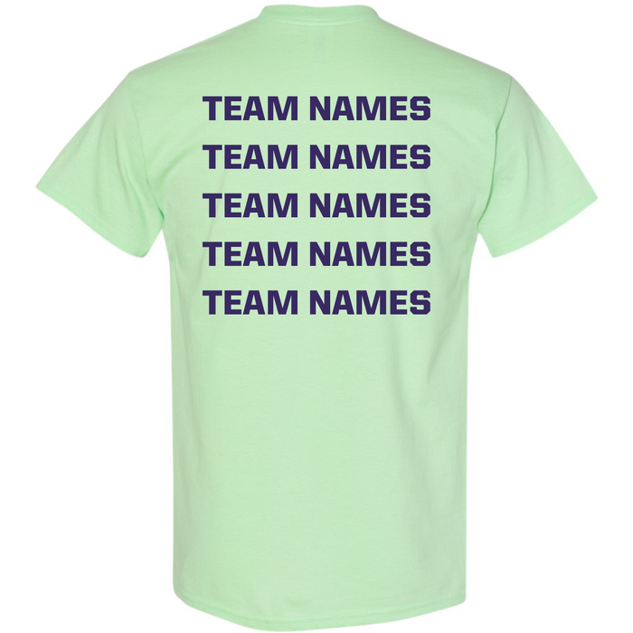 A light green DSG Apparel 2026 NSA Michigan Fall State Fastpitch Tournament Shirt with the words TEAM NAMES printed five times in bold, dark blue letters on the back.