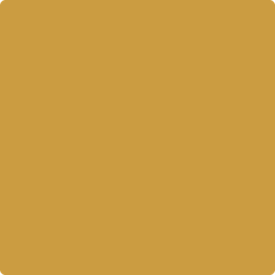 203-Fields: Of Gold a paint color by Benjamin Moore avaiable at Clement's Paint in Austin, TX.