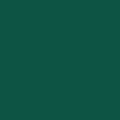 2043-10: Absolute Green a paint color by Benjamin Moore avaiable at Clement's Paint in Austin, TX.