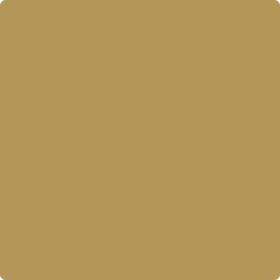 258-Acorn: Squash a paint color by Benjamin Moore avaiable at Clement's Paint in Austin, TX.