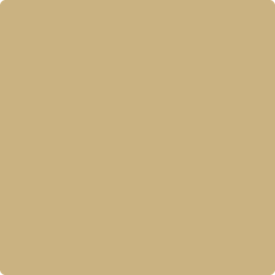 271-Barely: Grass a paint color by Benjamin Moore avaiable at Clement's Paint in Austin, TX.