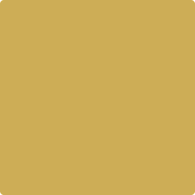 279-Hollywood: Gold a paint color by Benjamin Moore avaiable at Clement's Paint in Austin, TX.