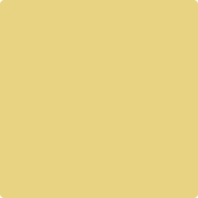 285-Treasure: Trove a paint color by Benjamin Moore avaiable at Clement's Paint in Austin, TX.