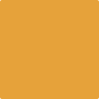 308-Golden: Vista a paint color by Benjamin Moore avaiable at Clement's Paint in Austin, TX.