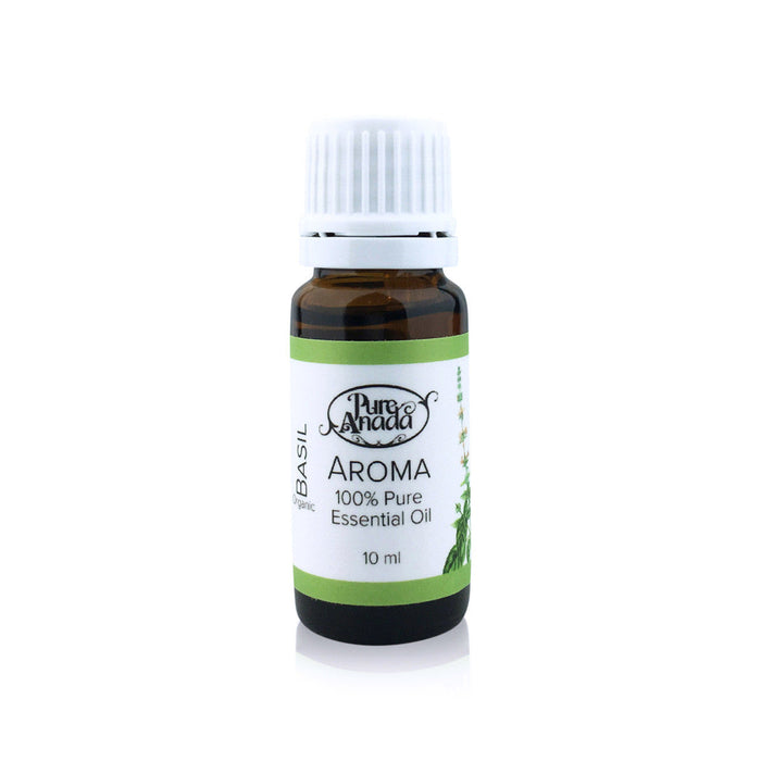 Aroma Basil (Organic)