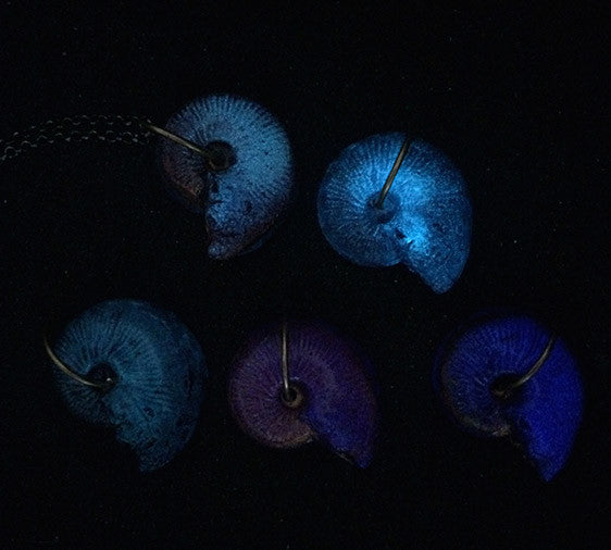 CAST AMMONITE PENDANT