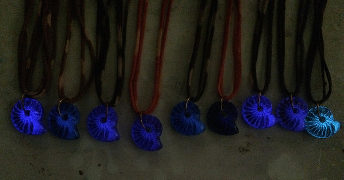 CAST AMMONITE PENDANT