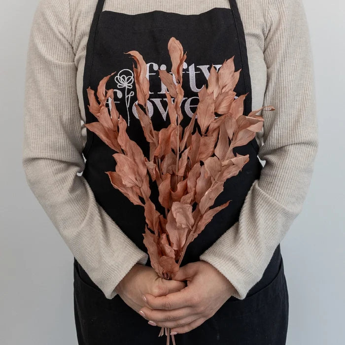 Mocha Dried Ruscus Greenery Apron - Image