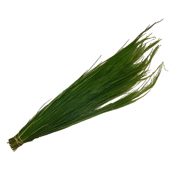 Wholesale greenery scotchbroom filler flowers sold as bulk