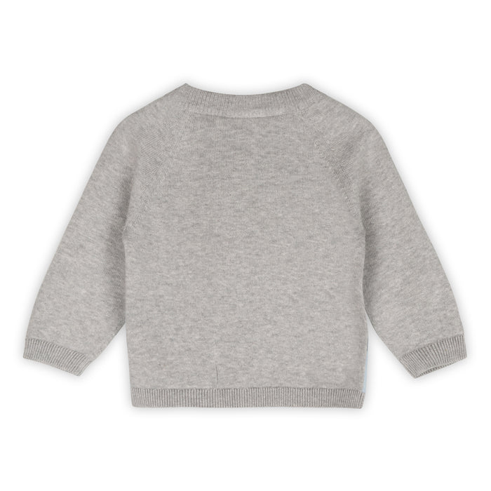 Skating Polar Bear Jacquard Knit Baby Raglan Pullover, Organic Cotton