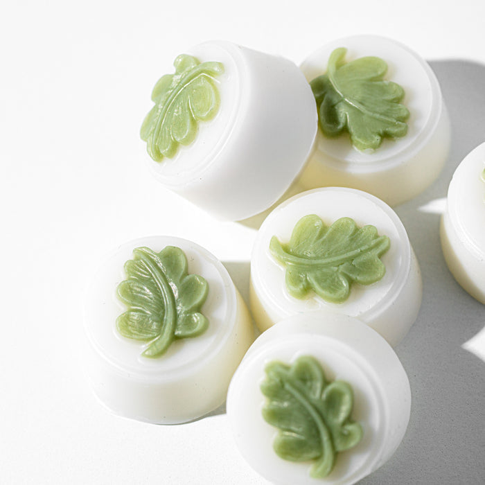 Tobacco Leaf & Amber Wax Melts Kit
