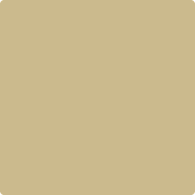 228-Shakespeare: Tan  a paint color by Benjamin Moore avaiable at Clement's Paint in Austin, TX.