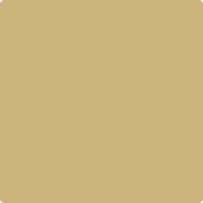 256-Westwood: Tan  a paint color by Benjamin Moore avaiable at Clement's Paint in Austin, TX.