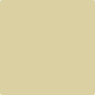 263-Spring: Morning  a paint color by Benjamin Moore avaiable at Clement's Paint in Austin, TX.