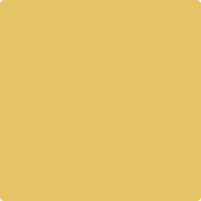 293-Showtime:  a paint color by Benjamin Moore avaiable at Clement's Paint in Austin, TX.
