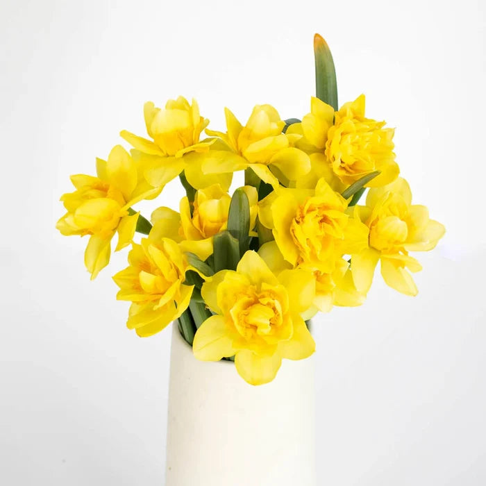Yellow Daffodil Flower Bunch in Vase