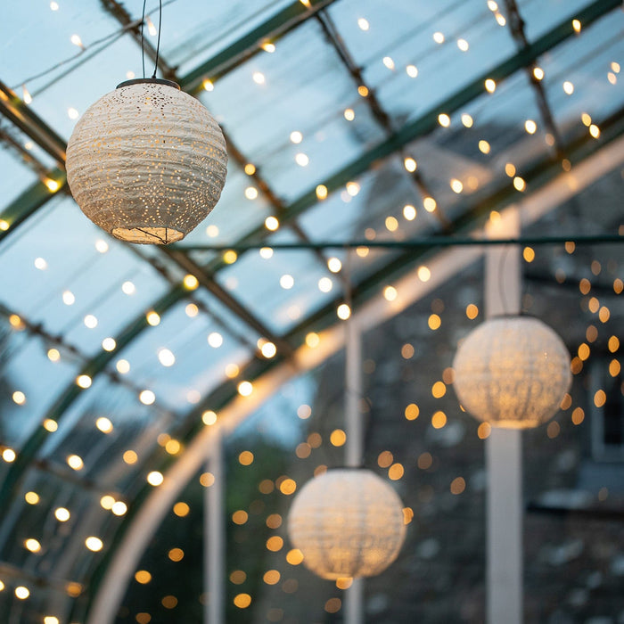 D-CANOPY_CanopyOutdoorLightingBundle_2.jpg