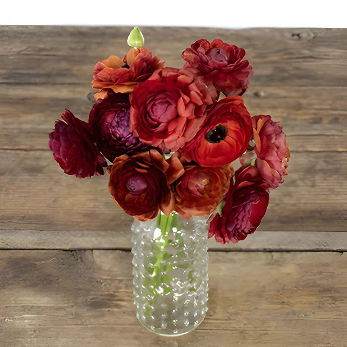 Chocolate Ranunculus Fresh Cut Flower