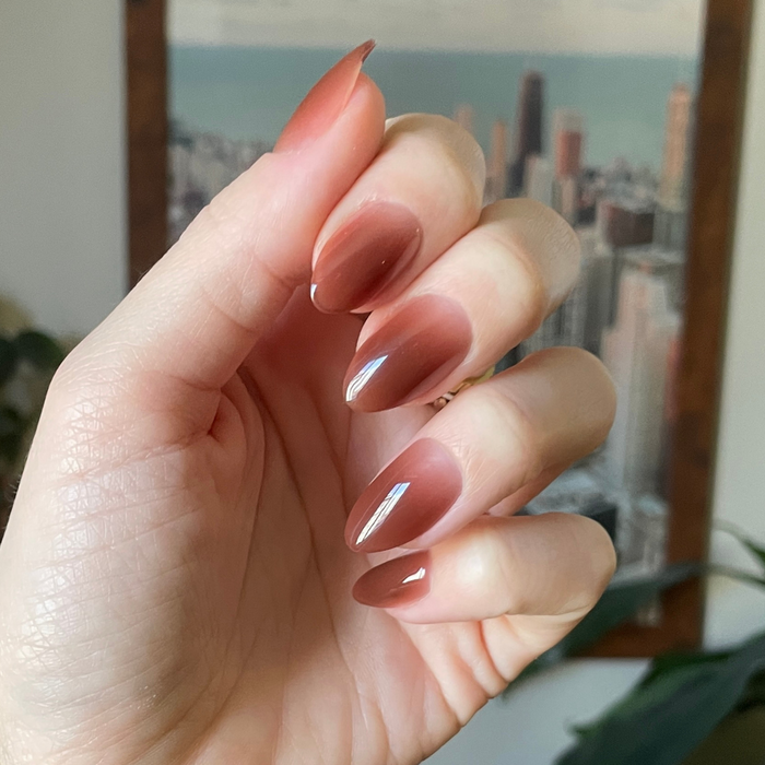 Chocolate Syrup Gradient - Press-On | Medium | Almond showing hand with medium almond cool-toned chocolate brown gradient press-on manicure indoors