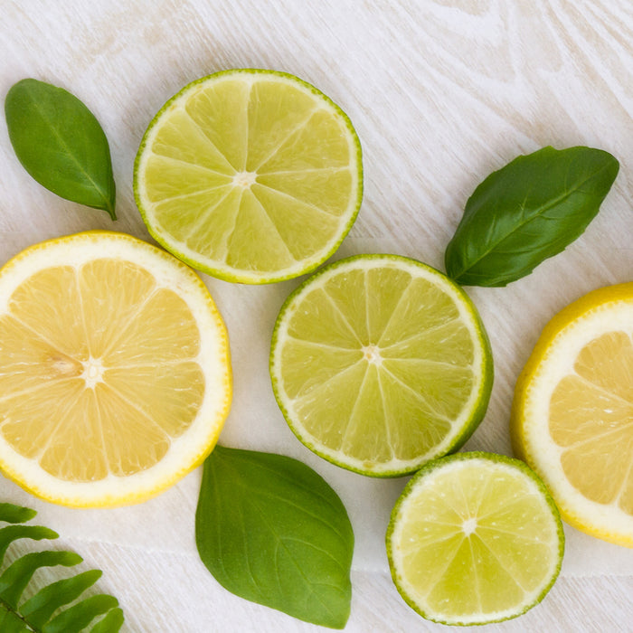 Cool Citrus Basil Fragrance Oil 422