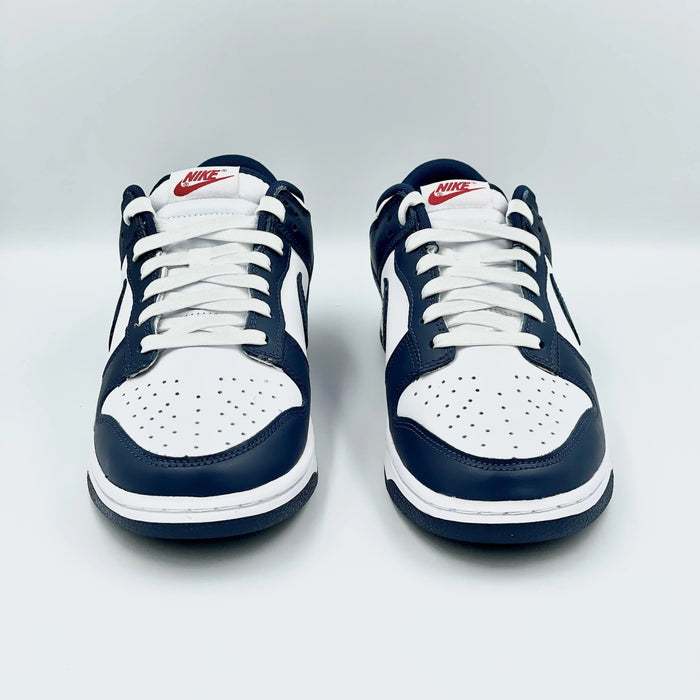 Nike Dunk Low Valerian Blue  SA Sneakers