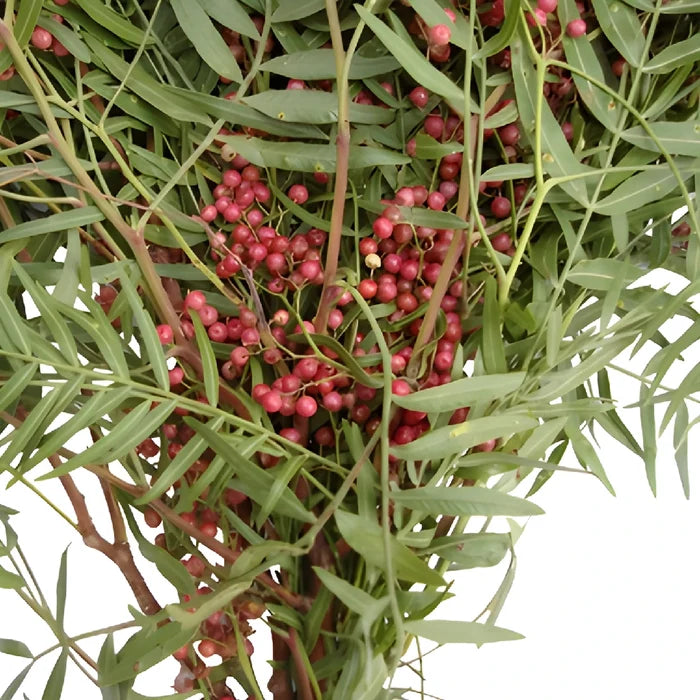 Wedding greenery hanging pepperberry bulk fall greens sold near me