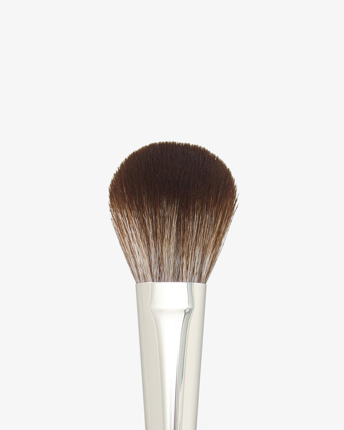 Luxurious Powder Brush F1