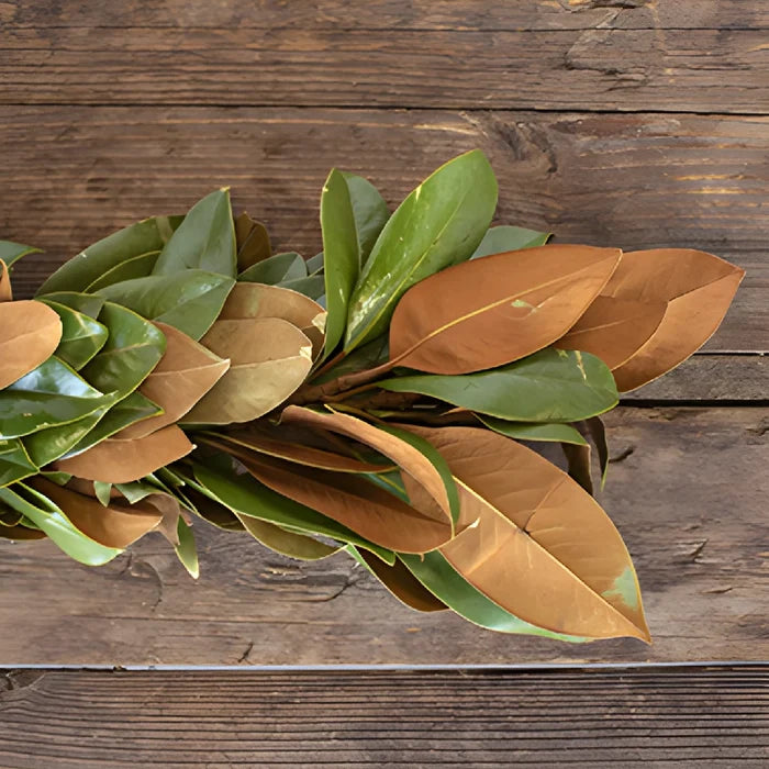 Magnolia Greenery Garland