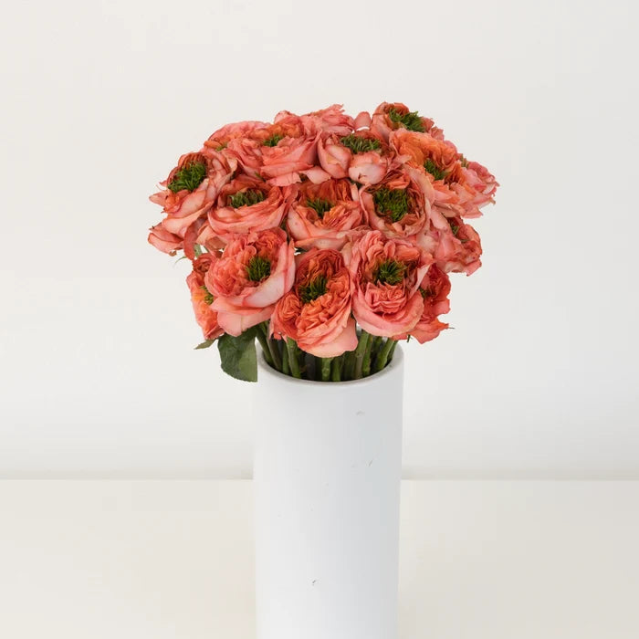 Mandarin Peach Garden Rose Vase - Image