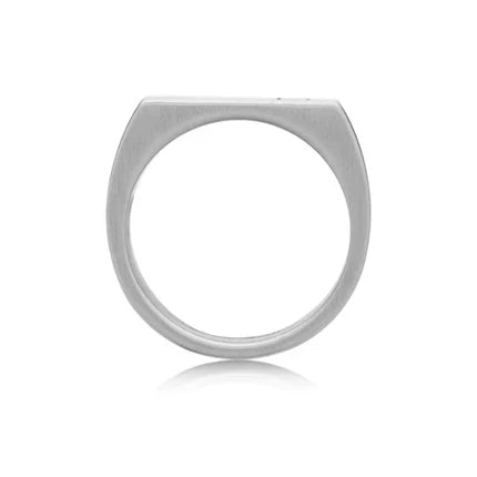 Men’s Satin Finish 316L Stainless Steel Dress Ring (8mm)