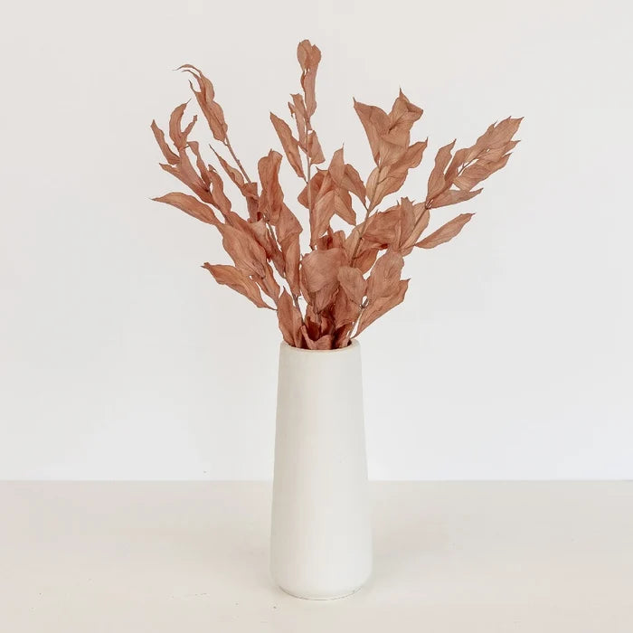 Mocha Dried Ruscus Greenery Vase - Image