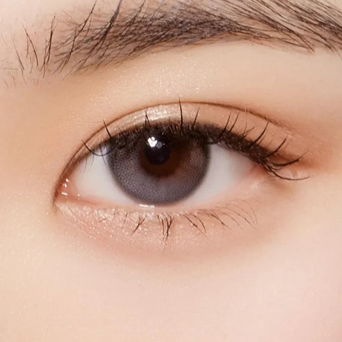 A close-up of a person's eye with natural makeup, long lashes, and a neat brow. The brown iris is enhanced by Olola Daymood 1-Day Grey (10pk) contact lens from Olola. Skin appears smooth under soft lighting.