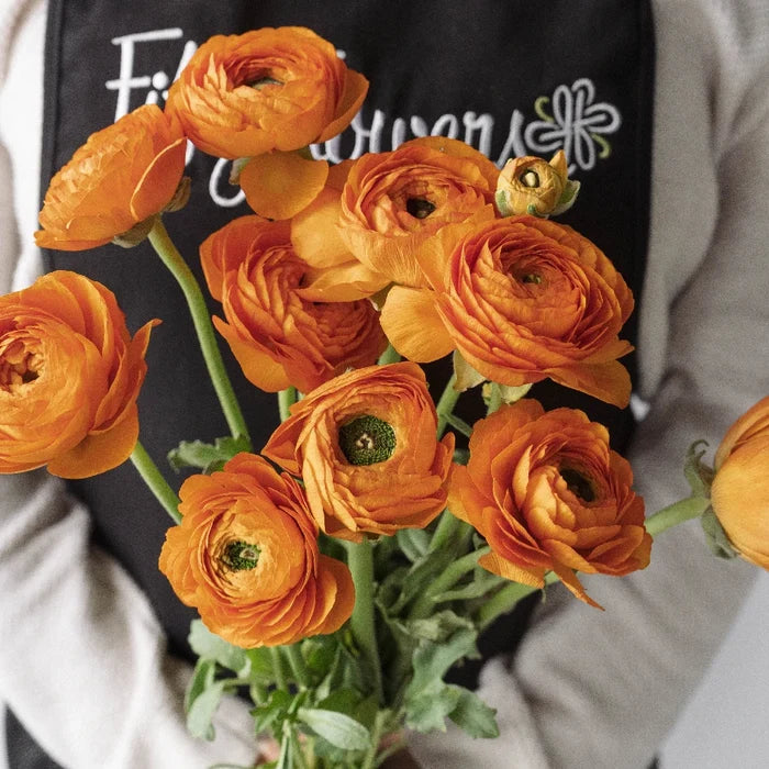 Orange Ranunculus Fresh Cut Flower Apron - Image