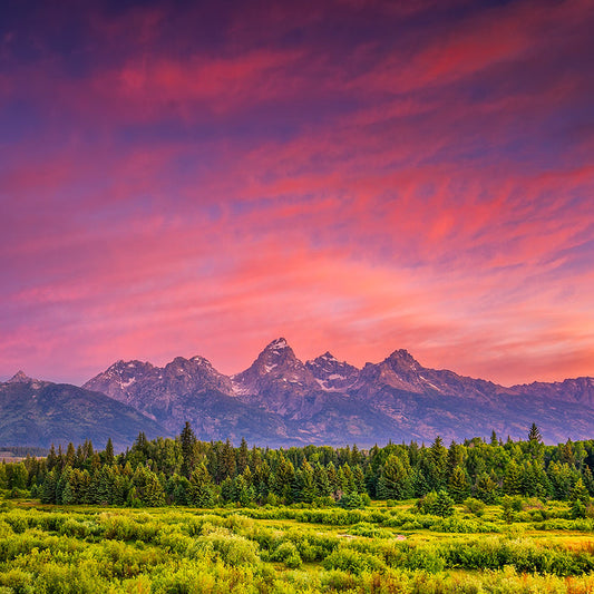 Pink Sky Fragrance Oil 22198
