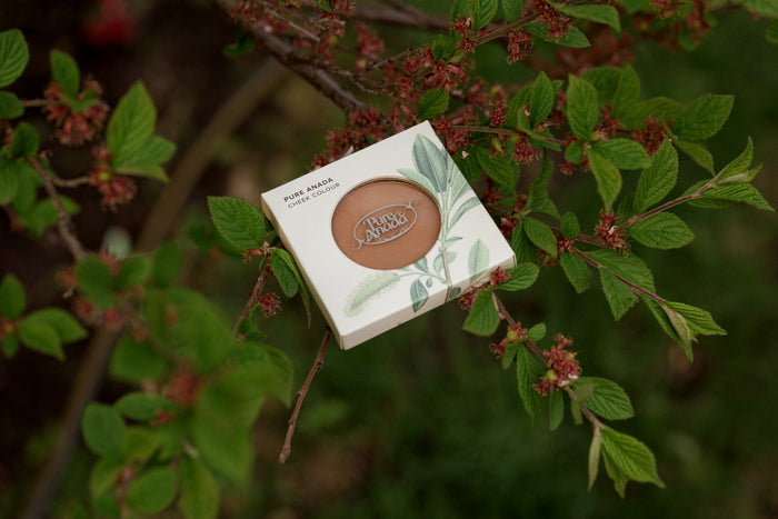 Pressed Cheek Colour - Bronzed Clove