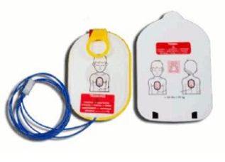 Replacement Child/Infant Training Pads