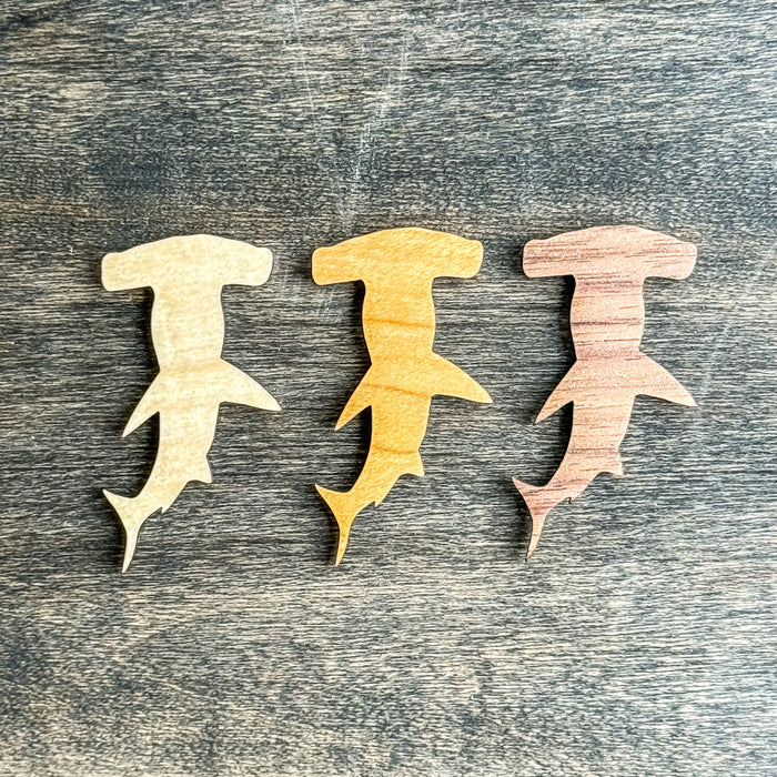 Shark Magnets