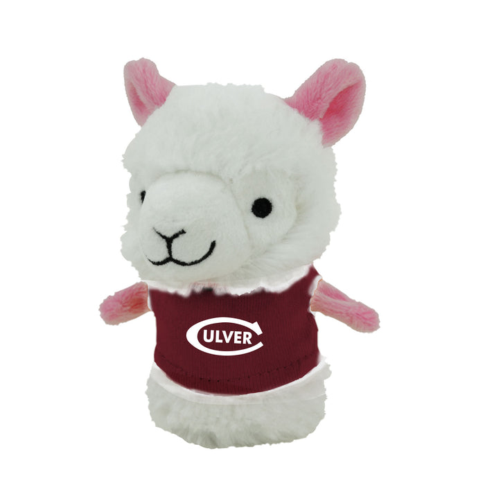 Shortie - Llama - 4"