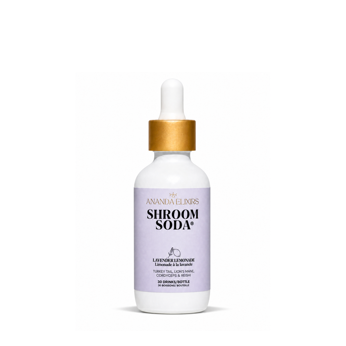 Ananda Elixirs-Shroom Soda-Wellness-AnandaElixirs-ShroomSoda-LavenderLemonade-The Detox Market |