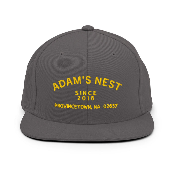 Adam's Nest Since 2016 6 panel flatbill dark grey