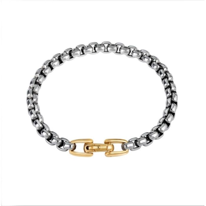 Stainless Steel Bracelet with Gold Lock Bracelet