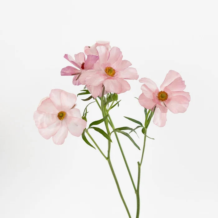 Unique Pink Butterfly Ranunculus Flower Stem - Image