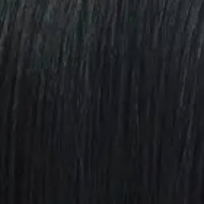 #1B