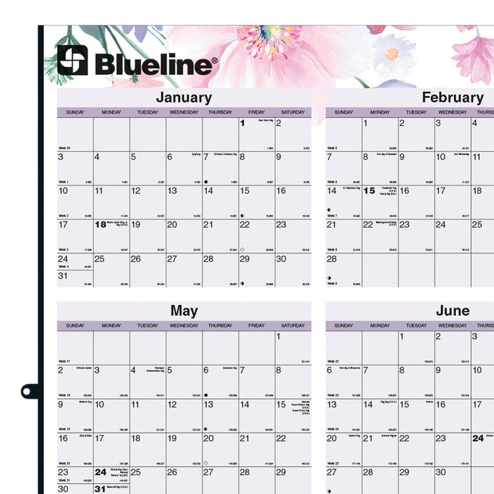 Yearly Wall Planner, Passion, 2027 C171920-27 Blueline
